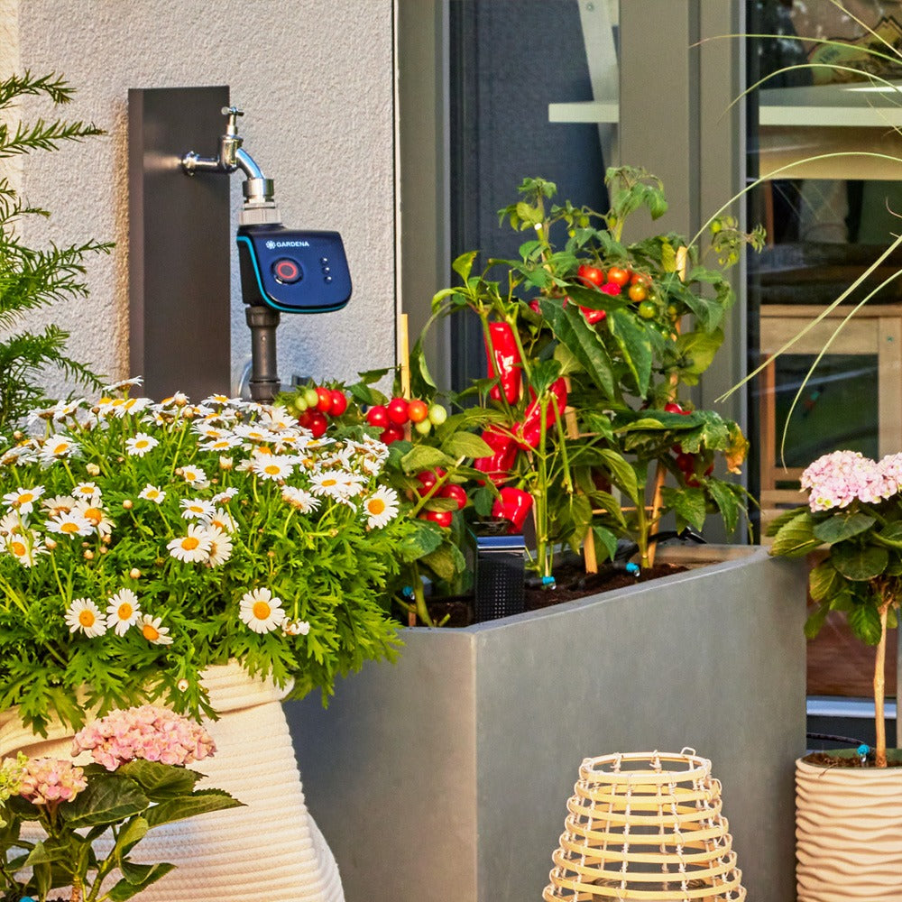 Micro-Drip-System terrassesæt (30 planter)